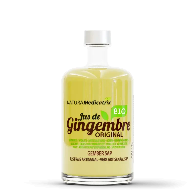 NaturaMedicatrix Jus de Gingembre Original Bio