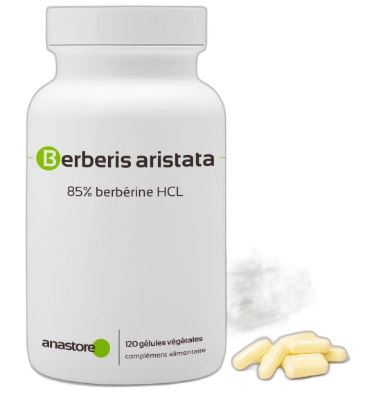 Anastore Berbérine (Berberis aristata)