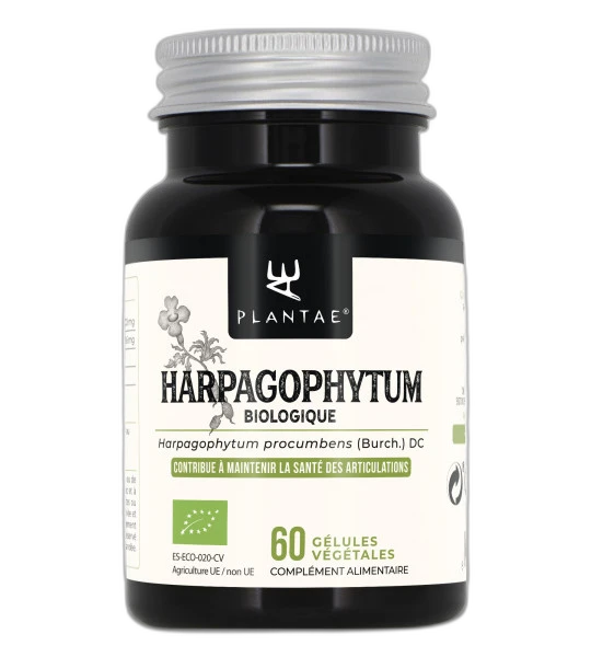 Anastore Harpagophytum Bio