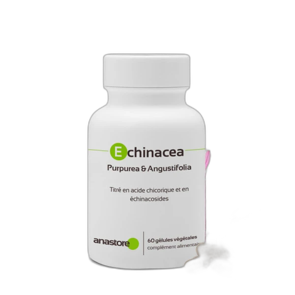 Anastore Echinacea Purpurea & Angustifolia