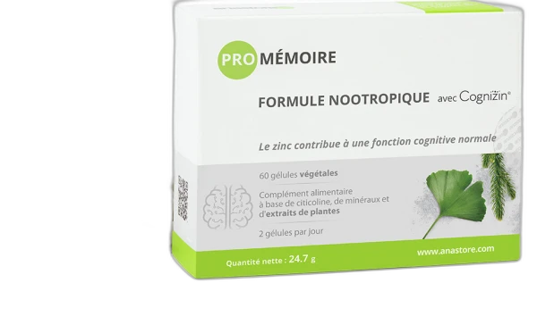 Anastore Pro Mémoire