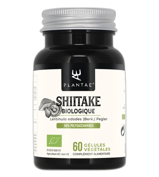 Anastore Shiitake Bio