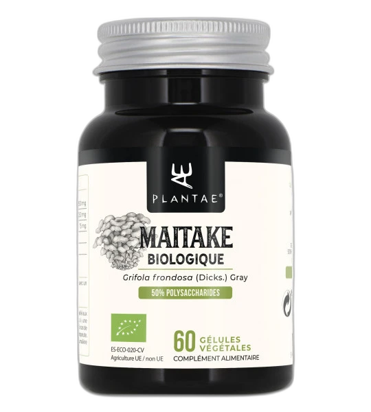 Anastore Maitake Bio (Grifola frondosa)