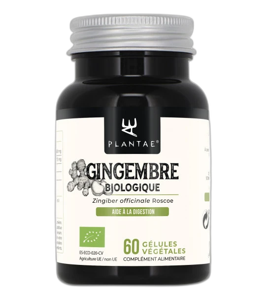 Anastore Gingembre Bio (gélules)