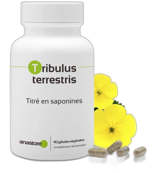 Anastore Tribulus terrestris