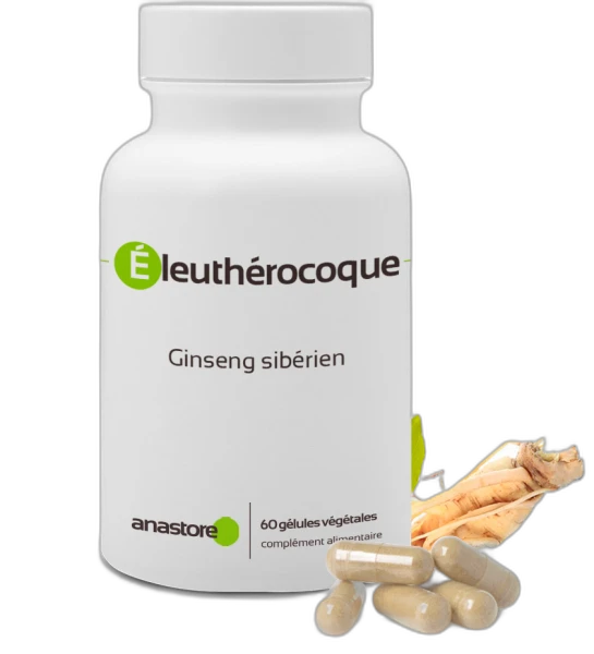 Anastore Éleuthérocoque