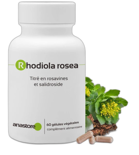 Anastore Rhodiola Rosea