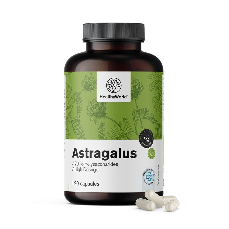 HealthyWorld Astragalus - extrait (20 % polysaccharides)