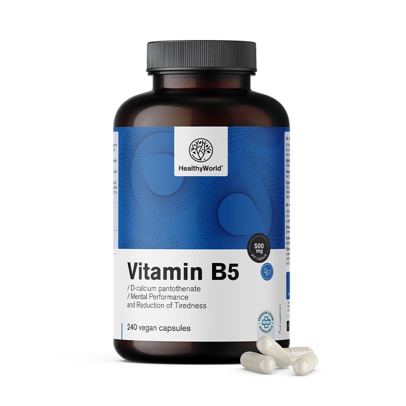 HealthyWorld Vitamine B5 500 mg