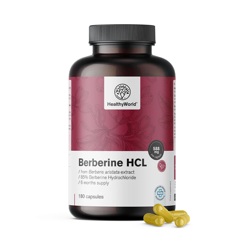 HealthyWorld Berbérine HCL 500 mg