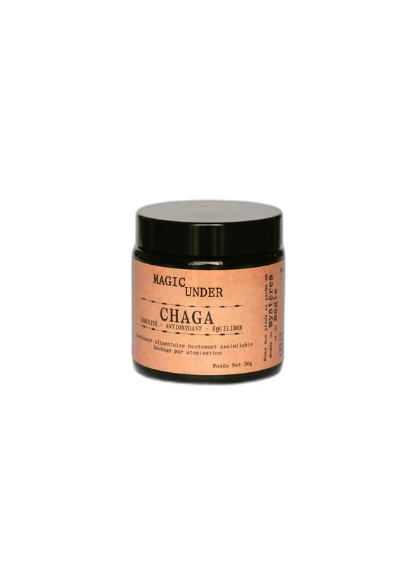 Magic Under Chaga Bio - Extrait en Poudre 30g