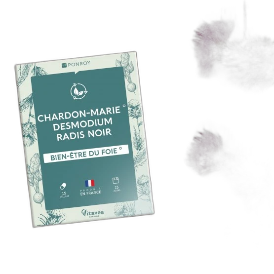 Ponroy Chardon-Marie - Desmodium - Radis noir