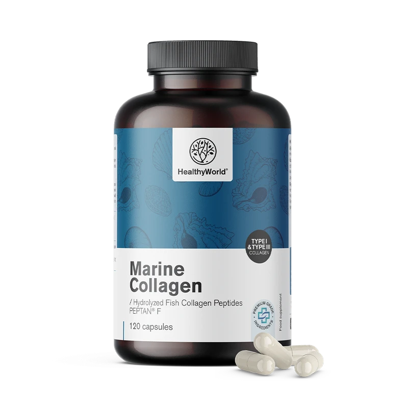 HealthyWorld Collagène marin 1170 mg