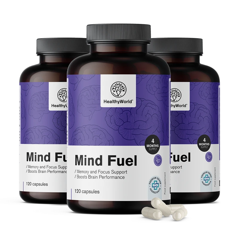 HealthyWorld Mind Fuel - mémoire & concentration