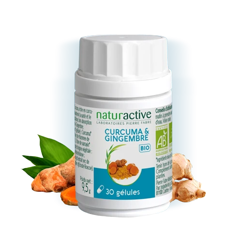 Naturactive Curcuma & Gingembre Bio