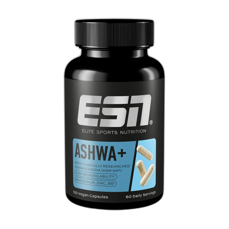 ESN Ashwa+ KSM-66