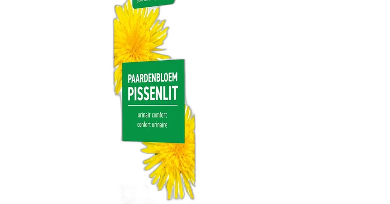 Purasana Extrait de pissenlit