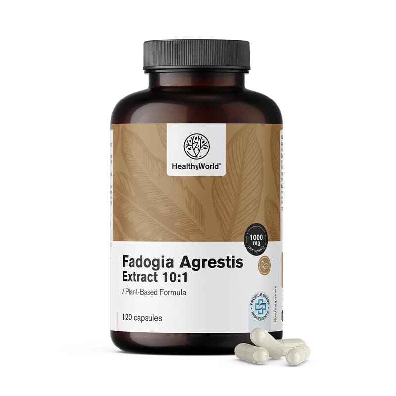 HealthyWorld Fadogia Agrestis 1000 mg