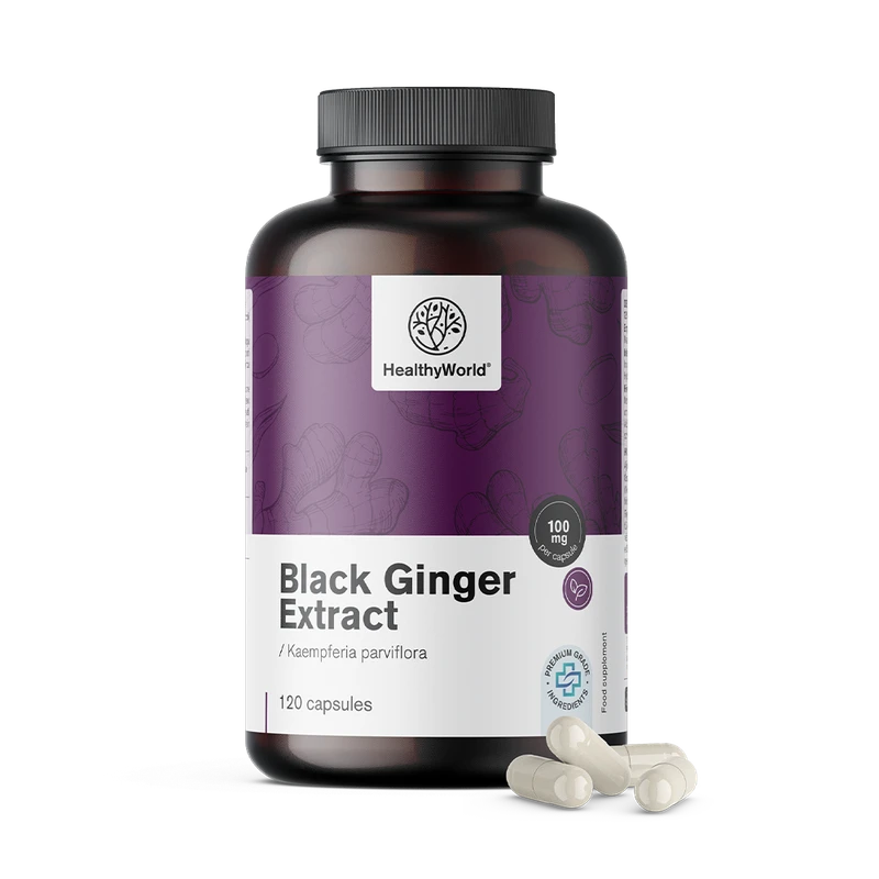 HealthyWorld Gingembre noir - extrait