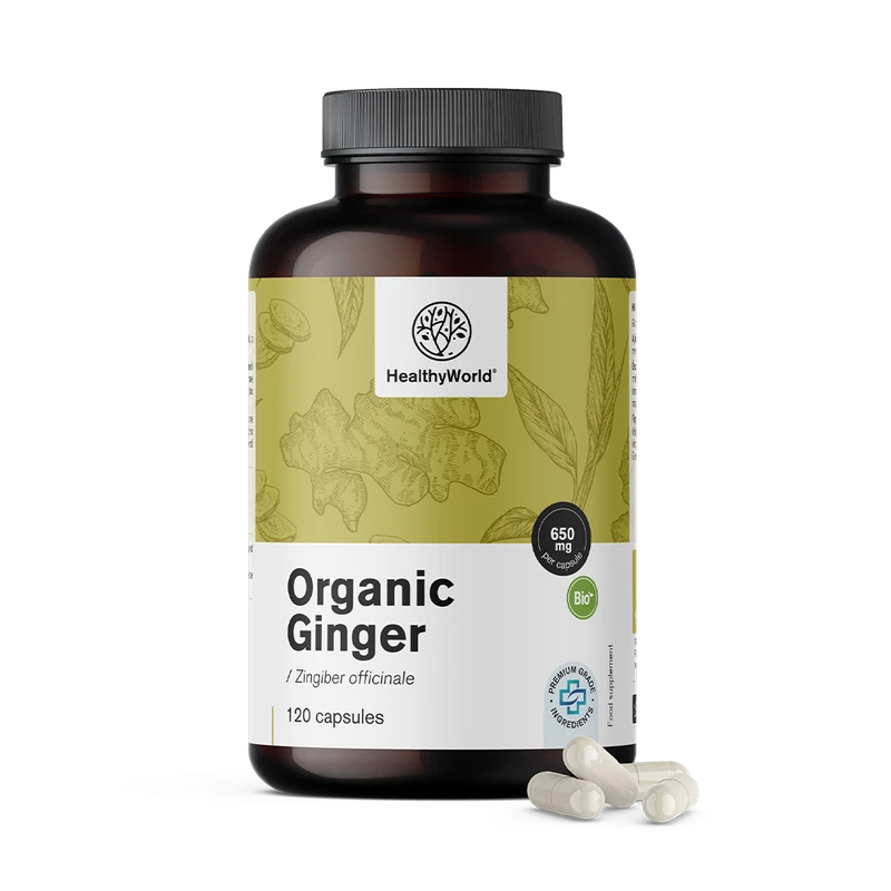 HealthyWorld BIO Gingembre 650 mg