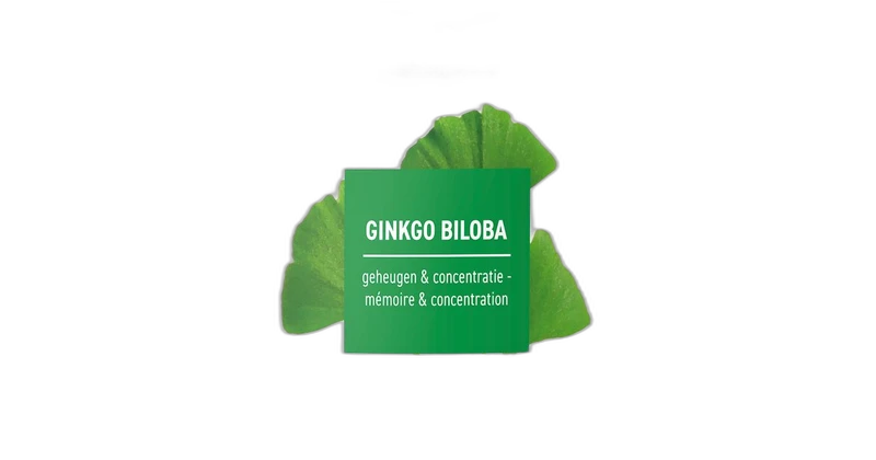 Purasana Ginkgo biloba