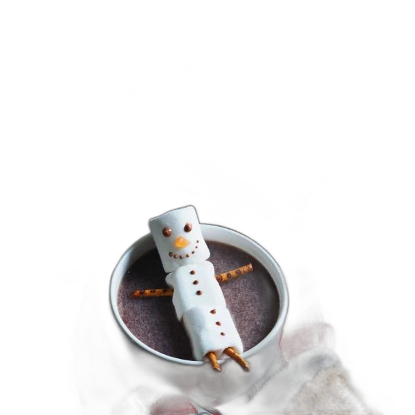 BioTechUSA Hot Chocolate protéiné