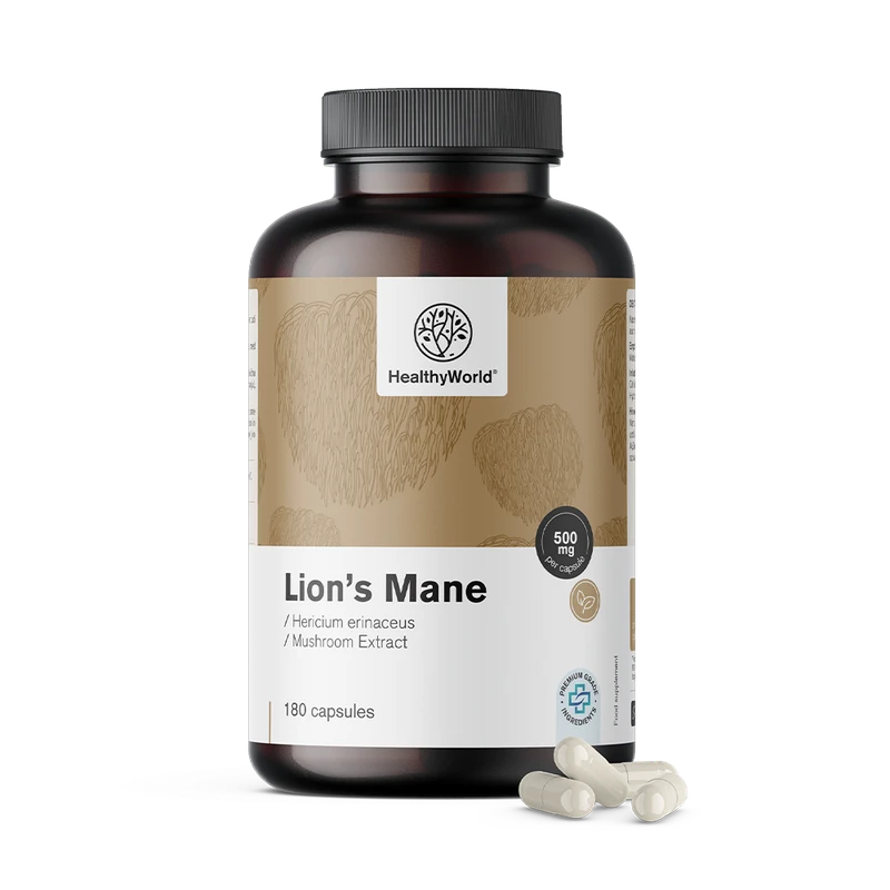 HealthyWorld Hydne hérisson (crinière de lion)