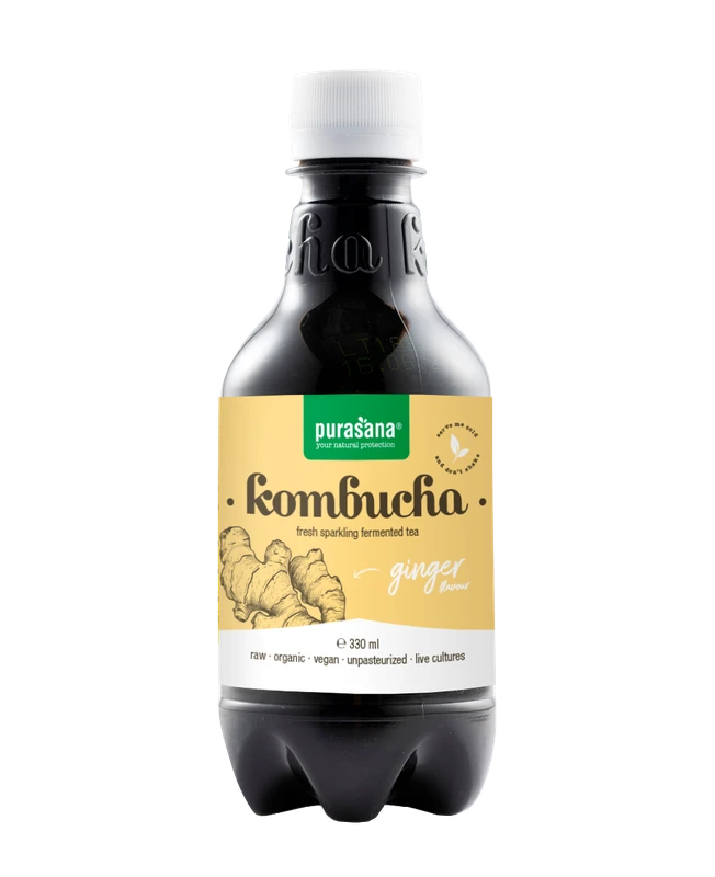 Purasana Kombucha gingembre frais