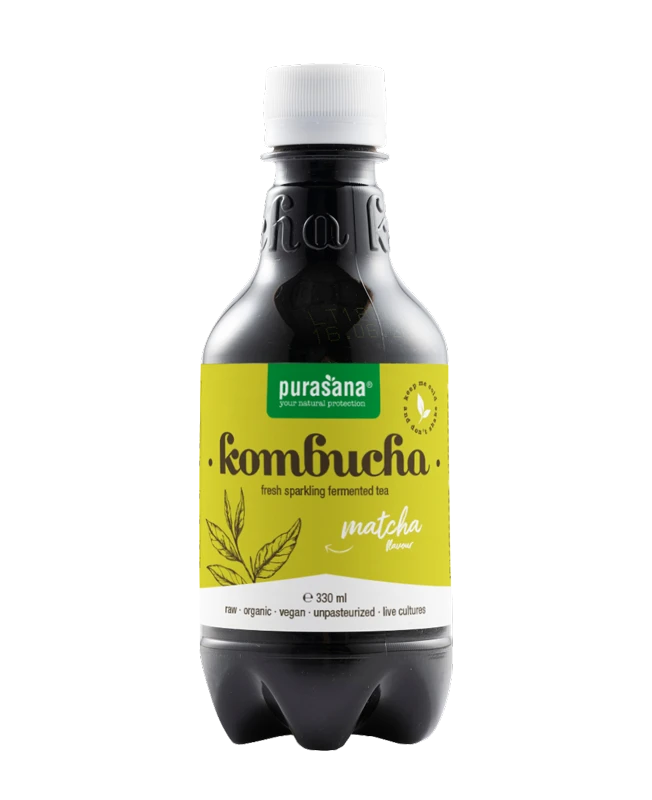 Purasana Kombucha matcha