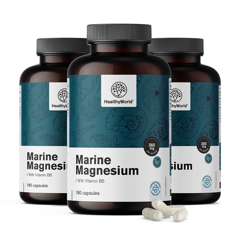 HealthyWorld Magnésium marin 360 mg