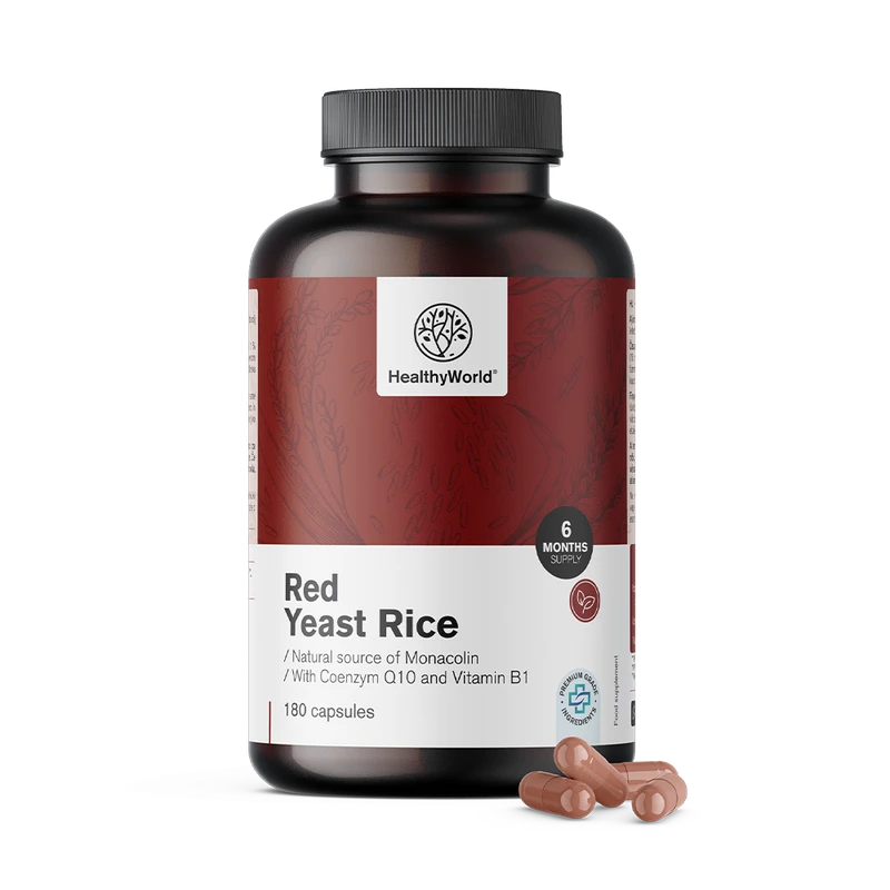HealthyWorld Levure de riz rouge 250 mg