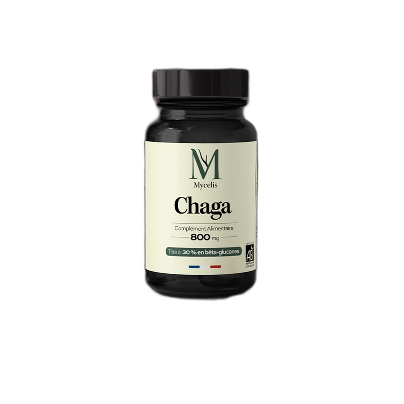 Phytalessence Chaga bio (Mycelis)