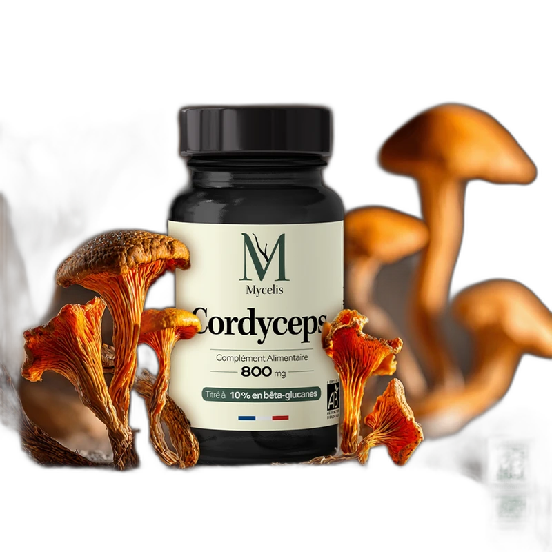 Phytalessence Cordyceps bio (Mycelis)