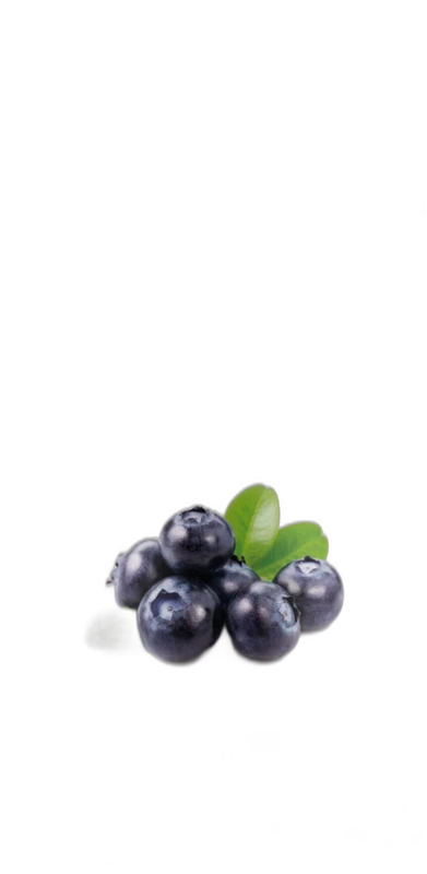 Superdiet Super Diet Myrtille Bio gélules