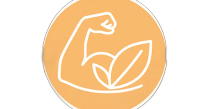 Purasana Protéines Végétales Vegan Pois 80% Nature Bio