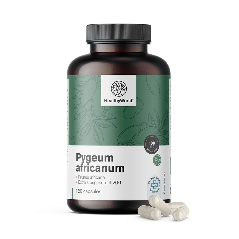 HealthyWorld Pygeum - prunier d'Afrique