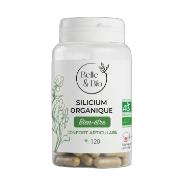 Dieti Natura Silicium organique Bio