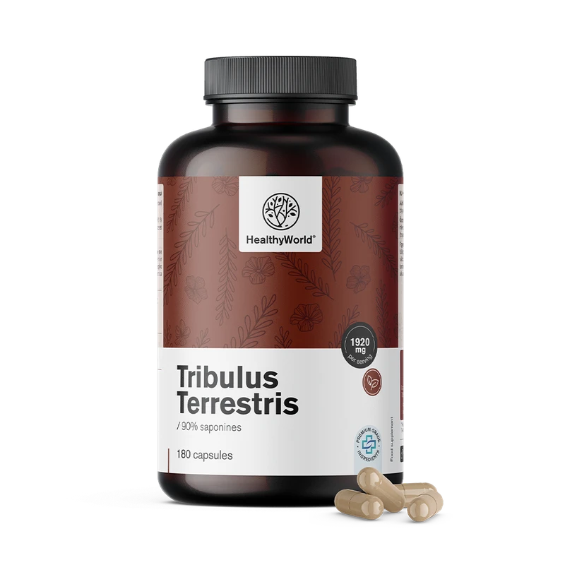 HealthyWorld Tribulus terrestris 1920 mg
